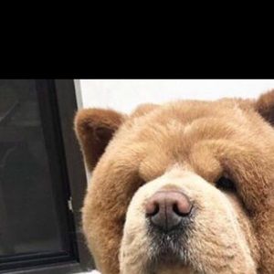 Meet your Posher, Bri